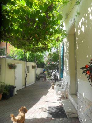 בלריה-איגאה מרינה Albergo Villa-Brandi --- Pensione Completa --- מראה חיצוני תמונה